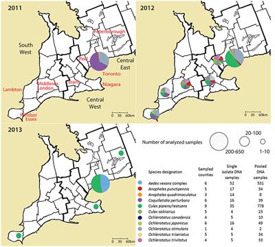 Mosquito Microbiome Dynamics, a Background for Prevalence and Seasonality of West Nile Virus